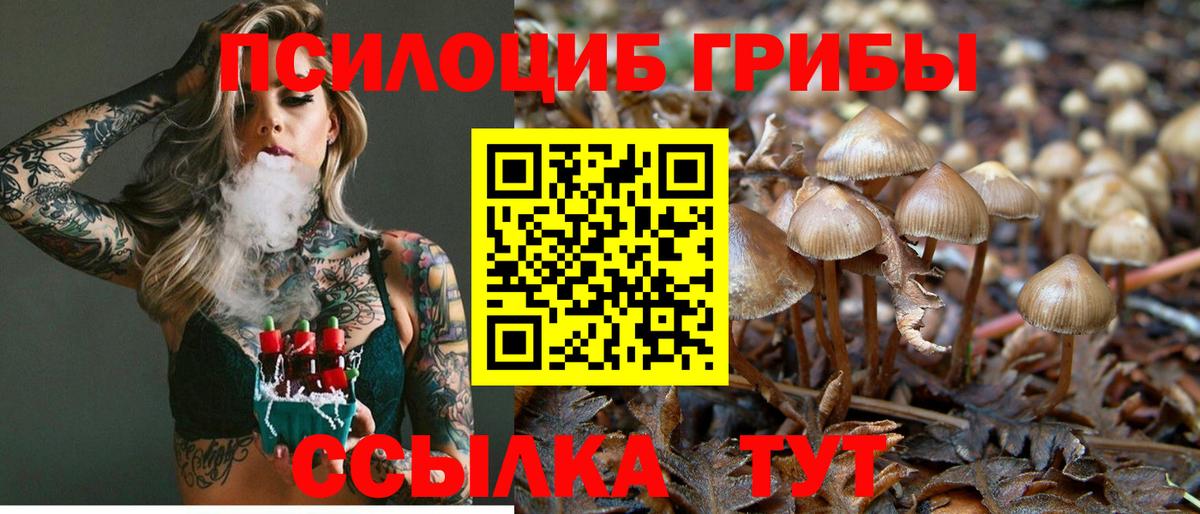 Псилоцибиновые грибы прущие грибы Якутск